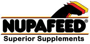 Derek Morton secures victory in the Nupafeed Supplements Senior Discovery Second Round at Field House Equestrian Centre